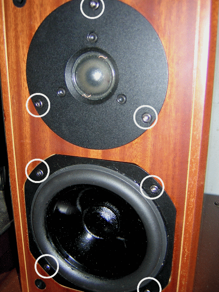 [DS 2006СbCf
