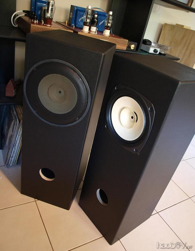 Ӣ:FOSTEX FE206En 8ȫƵ˫ʽ