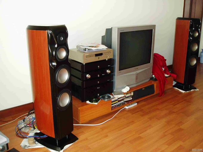 DIY RevelStudiohifi(2)