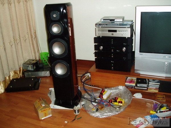 DIY RevelStudiohifi(2)