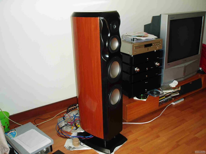 DIY RevelStudiohifi(2)