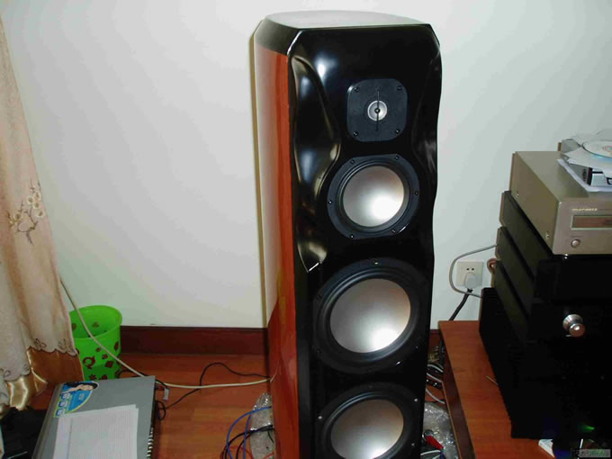 DIY RevelStudiohifi(2)