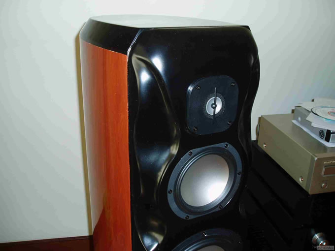 DIY RevelStudiohifi(2)