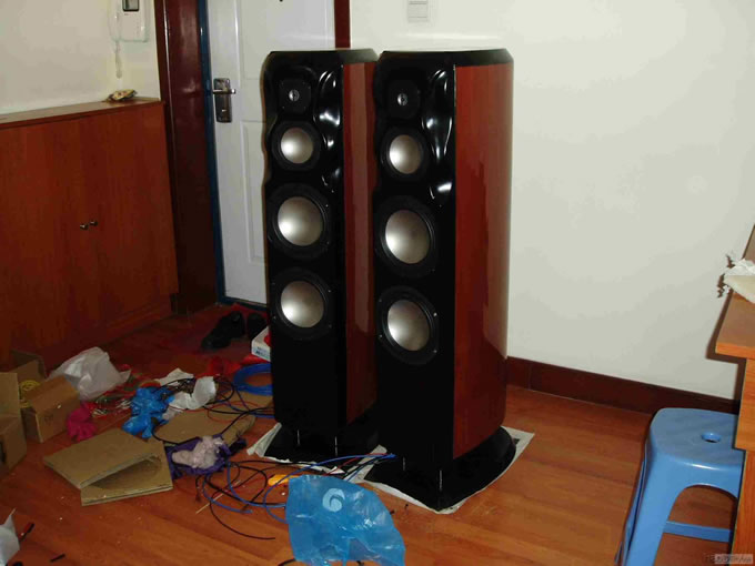 DIY RevelStudiohifi(2)