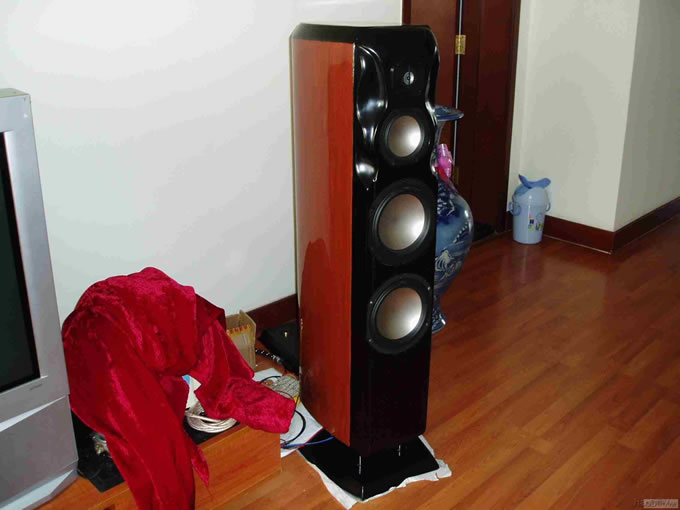 DIY RevelStudiohifi(2)