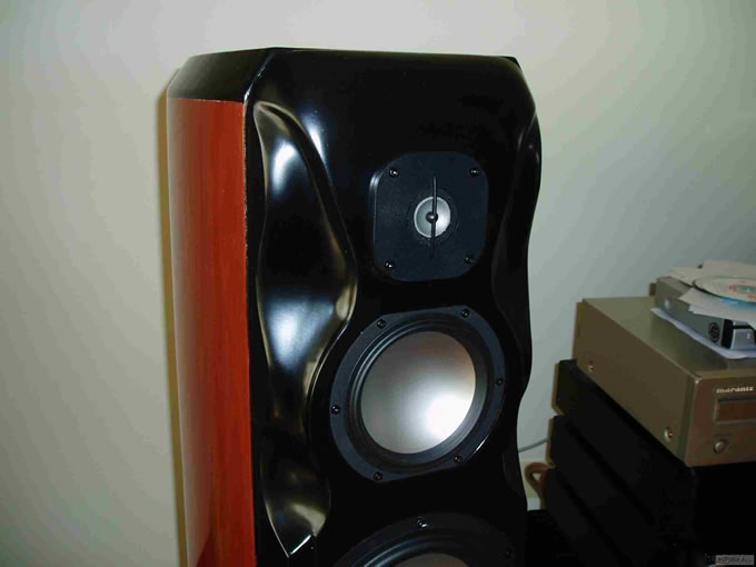 DIY RevelStudiohifi(2)