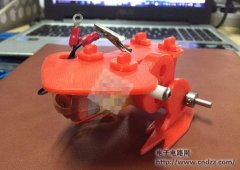 分享一只可爱的青蛙,动起来!