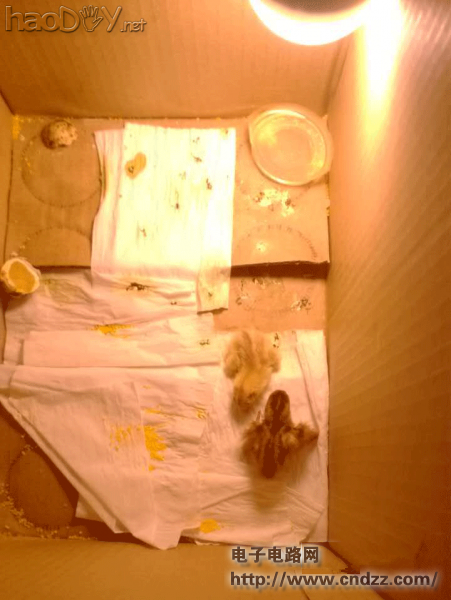 实例教程之智能孵化器