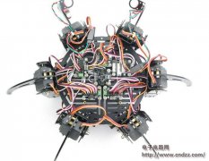 �ֹ�����֩��̹��