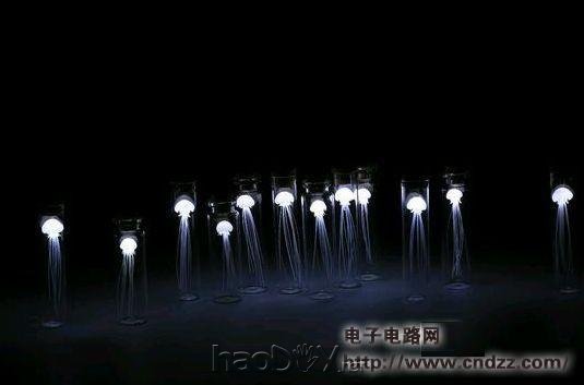 �������ȡ�������ˮĸ��������һȺ�����ޣ�