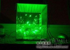 ���Ƶĵ���ө���