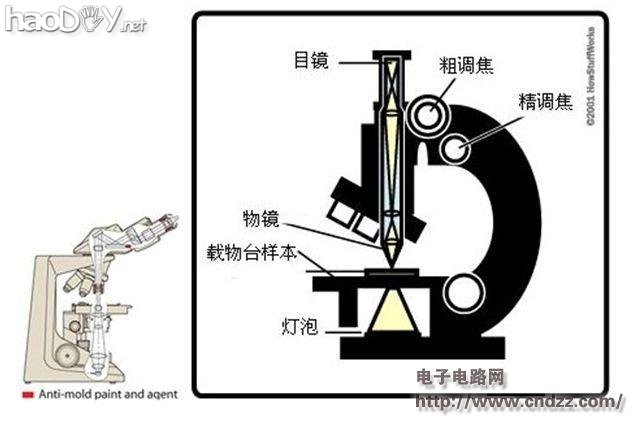 ��һ����΢����ȥ̽��΢��������ɣ�